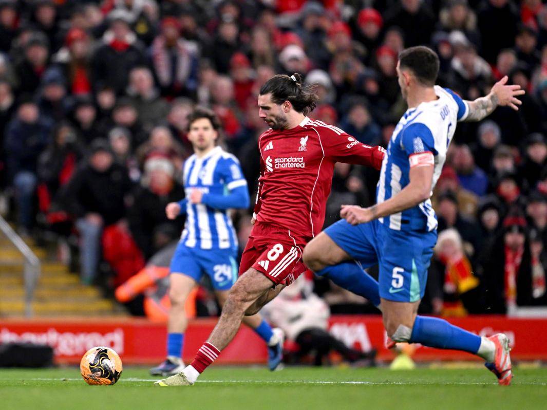 九游体育-关于法兰克福窗口期造点机会布莱顿遗憾出局备战德甲，网友：法兰克福状态回暖备战法国杯的信息